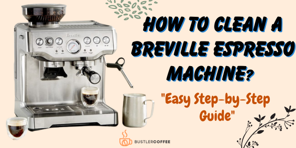 How to Clean & Descale a Breville Espresso Machine