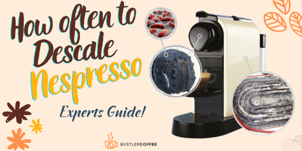 How often to Descale Nespresso