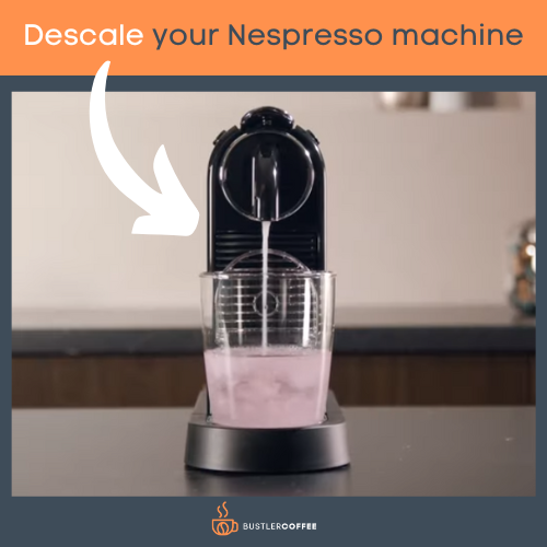 Descale the Nepsresso machine