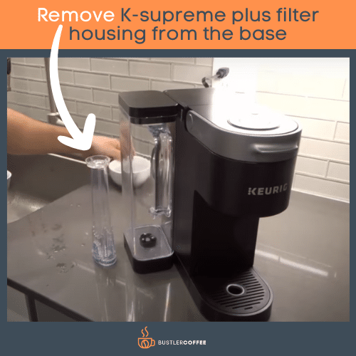 Remove filter from the water tank's base